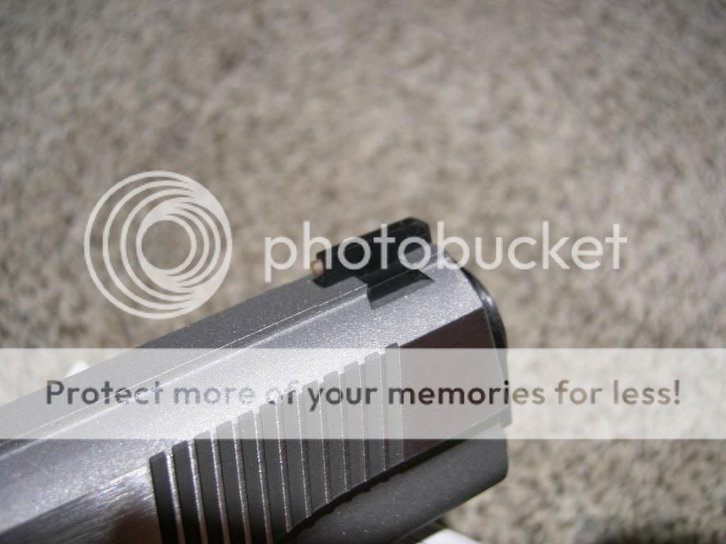 Gold bead front sights... 1911 Firearm Addicts